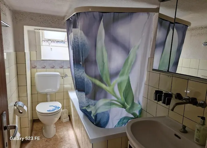 Apartment Furnished In Zizers